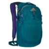 Gregory NANO 20 PLUS Tagesrucksack ICON TEAL