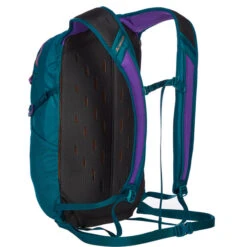 Gregory NANO 20 PLUS Tagesrucksack ICON TEAL -CampWelt Verkäufe 5638018822 d nano 20 plus gregory 24