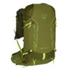 Osprey TALON VELOCITY 20 Tagesrucksack MATCHA GREEN/LEMONGRASS